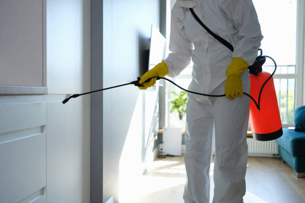 Mold Removal and Inspection in Quarryville, PA
