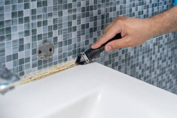 Best Certified Mold Removal  in Quarryville, PA